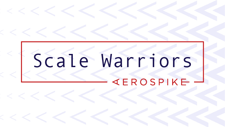 Scale Warriors Meetup