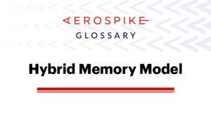 hybrid memory model