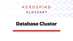 Database cluster